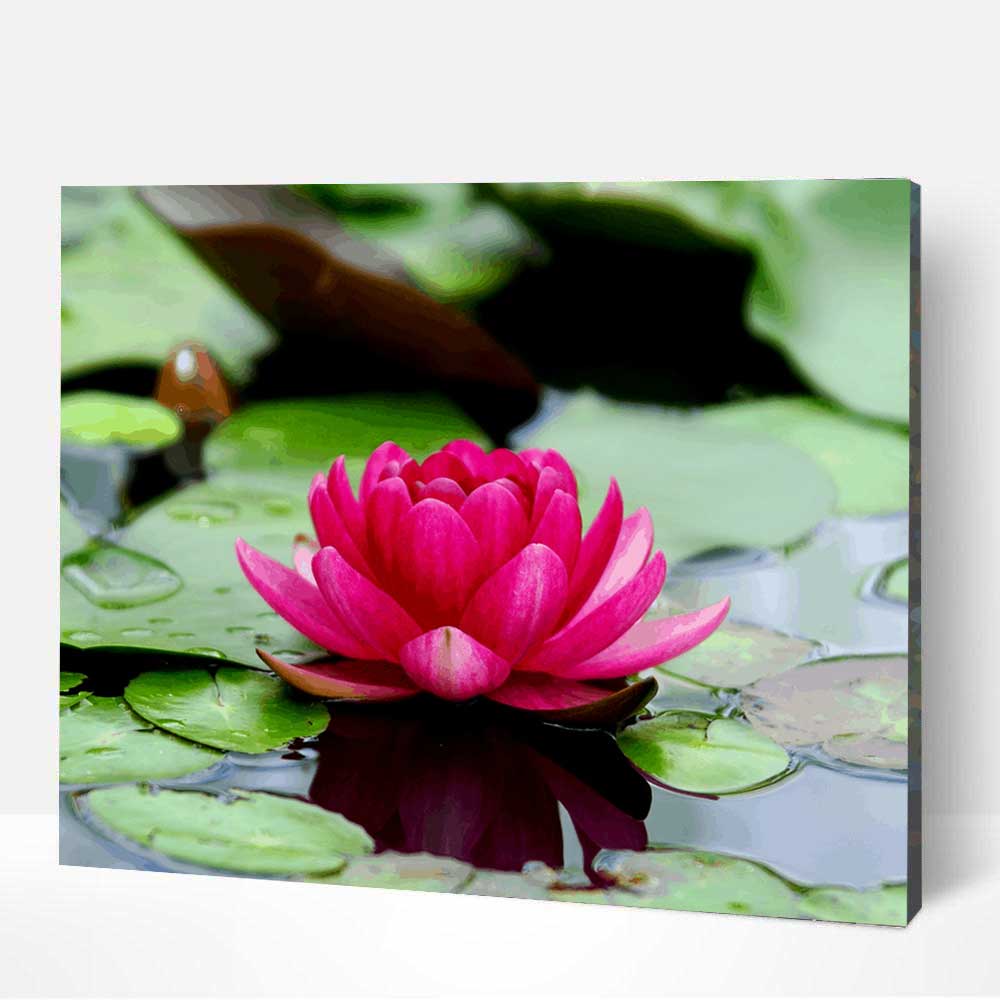 festede-lotuszvirag-szamozott-kifesto