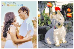 Egyedi számozott festede