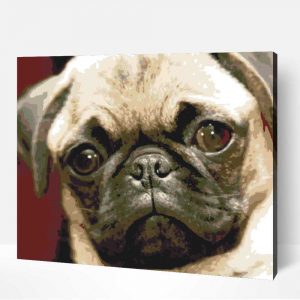 Pug kutya festő