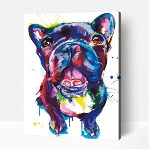 Francia bulldog